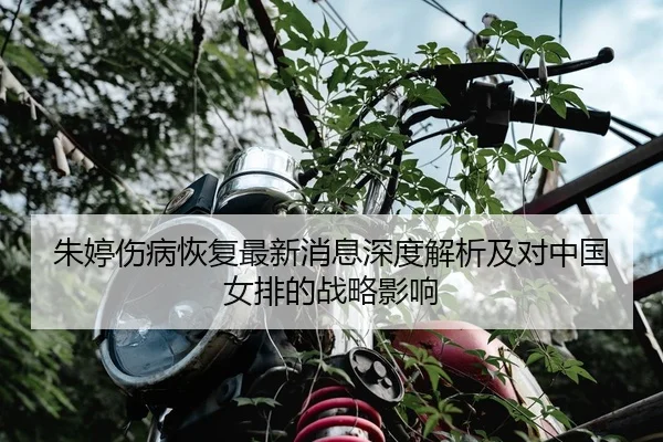 朱婷伤病恢复最新消息深度解析及对中国女排的战略影响